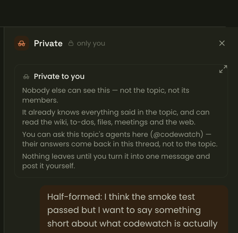 The Private panel, headed 'only you', listing what it can and cannot do: nobody else can see it, it knows the topic, you can ask the topic's agents here, and nothing leaves until you post it.